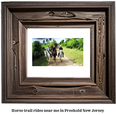 horse trail rides near me in Freehold, New Jersey